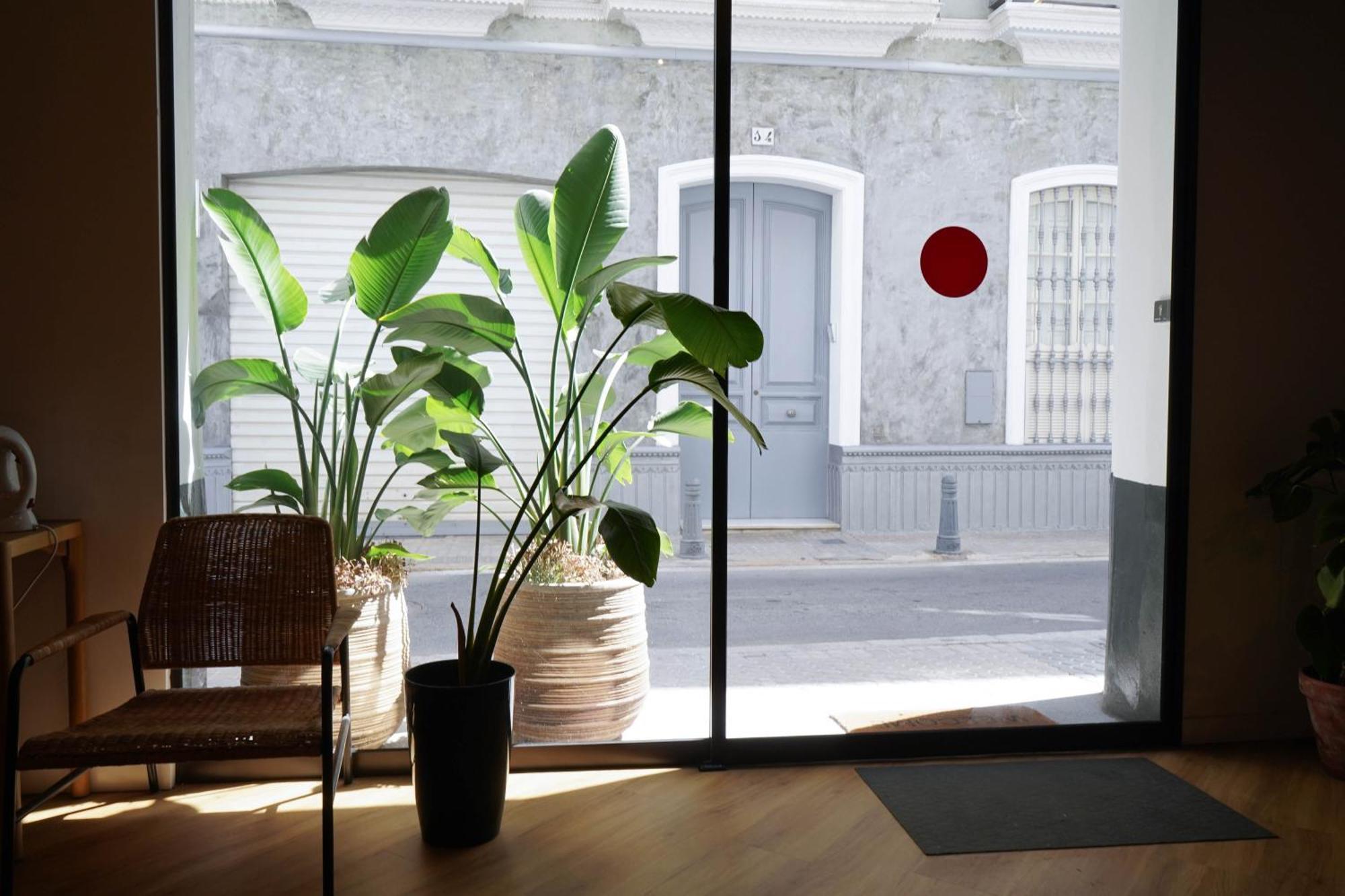 Sweet Sevilla Hostel — Photos 1